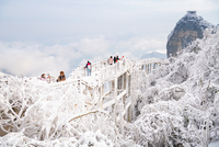 冰雪世界