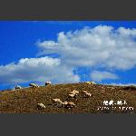 绝美.坝上