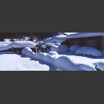 东北雪乡.反转片