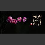 梅园诗赋
