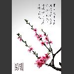 桃花韵