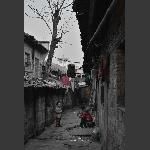 小巷传来读书声