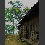 山村老屋