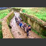 凉山娃.2