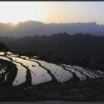 大坪风光