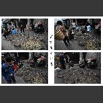 官坪集市见闻