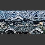 冬雪