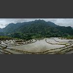 念山梯田