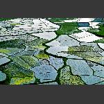 《大地调色板》