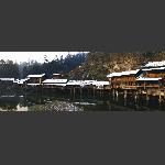 冬雪