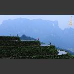 余家山梯田