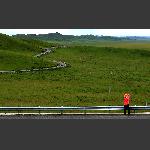 甘南-蜿蜒的草原公路