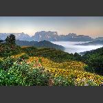 满山均是丰收态