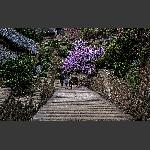路