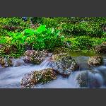 水韵