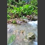水韵2