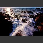浪花怒放