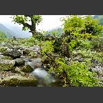 张家湾风光3