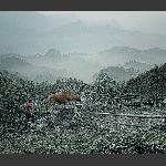 乡村即景