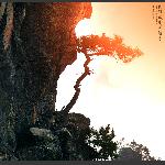 在险峰