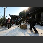 张家湾采风24