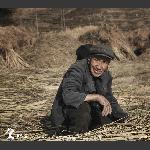 父老乡亲