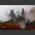 秋色正浓天子山