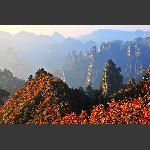 武陵几千秋
