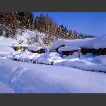 东北.雪乡