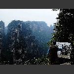 美景画中留