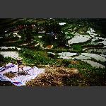 田间地头