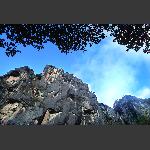初露峰芒