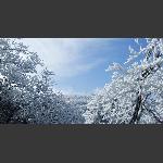 天门山雪5