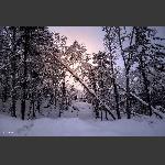 亚雪公路