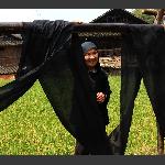 侗族阿婆
