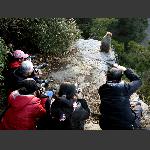 黄石寨顶拍裸模（1）.