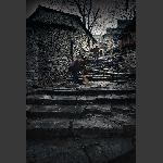 乡情