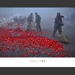 大地红