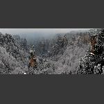 天子山雪韵