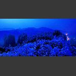 黄石寨雪月夜