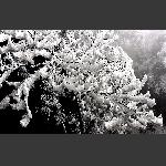 天门雪景2