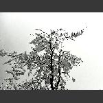 天门雪景18
