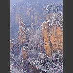 天子山雪
