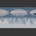 澧水河上一群鸟之四