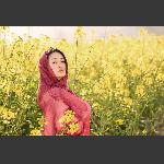 春意盎然2