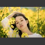 春意盎然1
