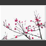 又见桃花开2