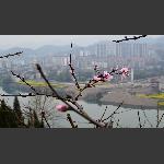 春天来了