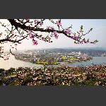 渡船坡-2014桃花季