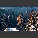 雪霁峰林3